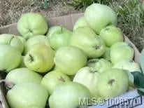 4 of 83 - 3708 Starboard Cres, Pender Island, BC