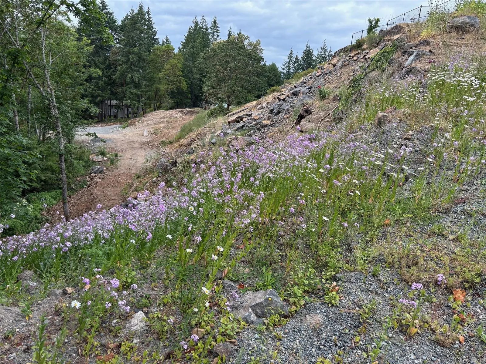 MLS Number 1008659 in the city of Colwood Homes for Sale by , the zipcode of V9C 3H2