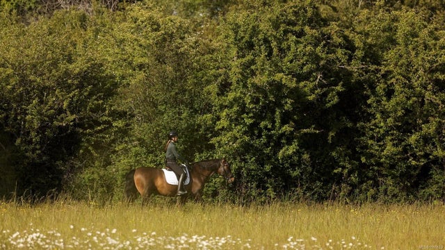 2 of 47 - 9775 West Saanich Rd, North Saanich, BC