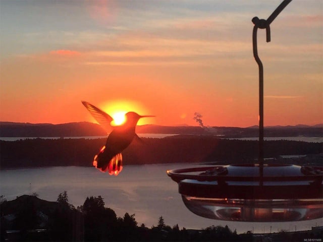 3 of 42 - 3359 Edgewood Dr, Nanaimo, BC