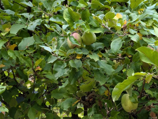 5 of 14 - Lt 16 Berry Point Rd, Gabriola Island, BC