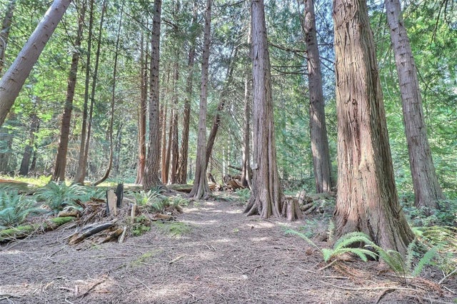3 of 20 - 6375 St Johns Point Rd, Hornby Island, BC