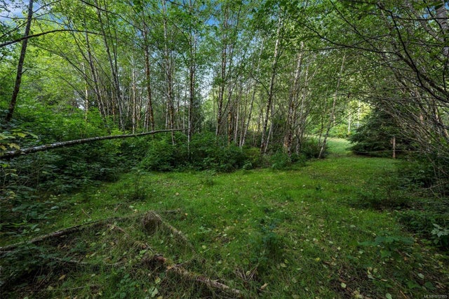2 of 20 - Lot 111 Powder Main Rd, Port Renfrew, BC