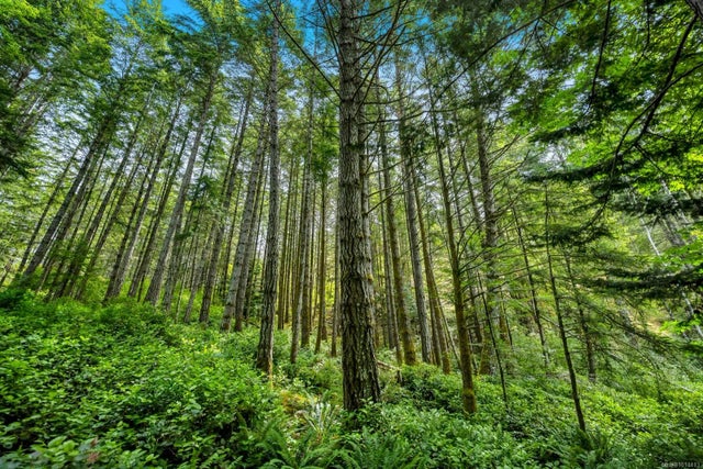 3 of 99 - 4440 Spellman Pl, Metchosin, BC