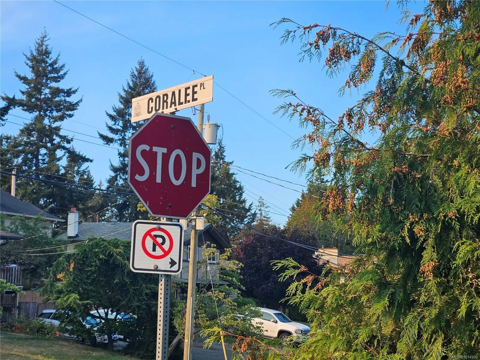 MLS Number 1014509 in the city of Langford Homes for Sale by , the zipcode of V9B 6C4