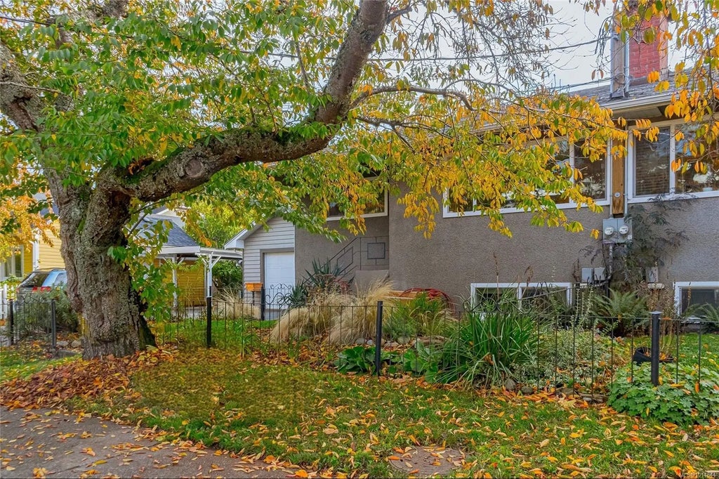 1207 Walnut St, Victoria