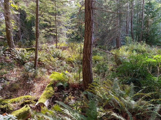 2 of 19 - Lt 39 Jackpine St, Gabriola Island, BC