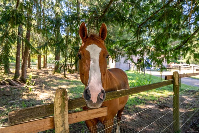 1 of 88 - 2468 Endall Rd, Black Creek, BC