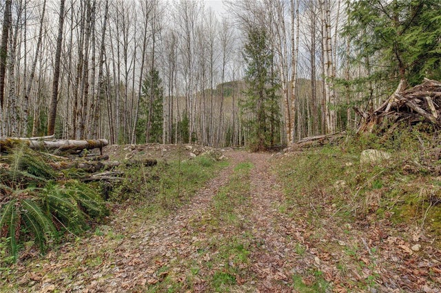 4 of 4 - 7531 Cowichan Lake Rd Lot B, Lake Cowichan, BC