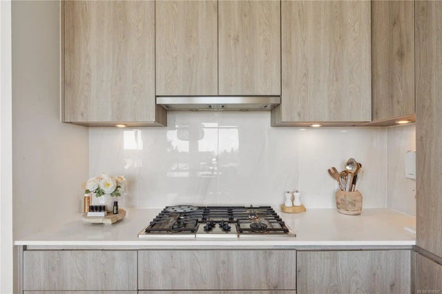 5 of 41 - 1216 Carlisle Ave 503, Esquimalt, BC