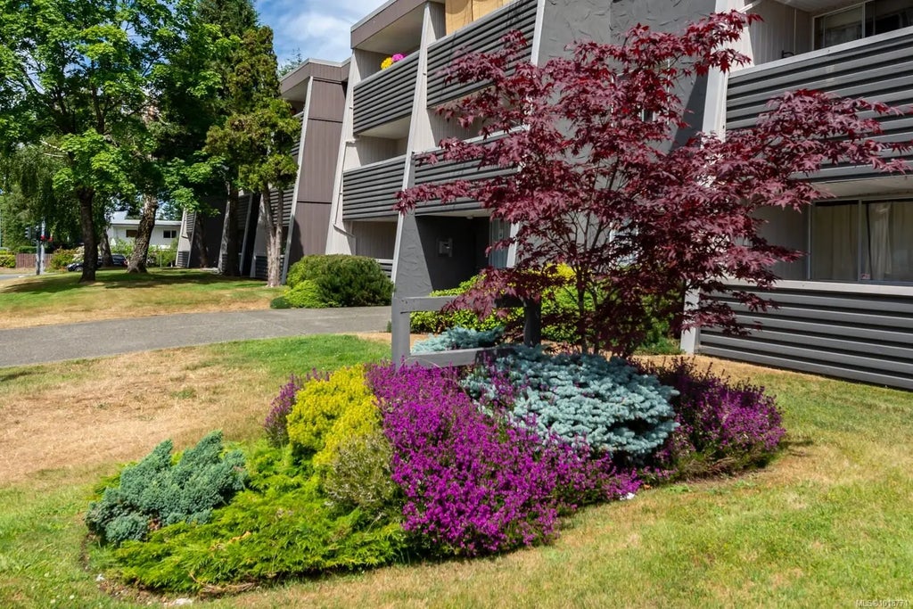 377 Dogwood St S 311, Campbell River