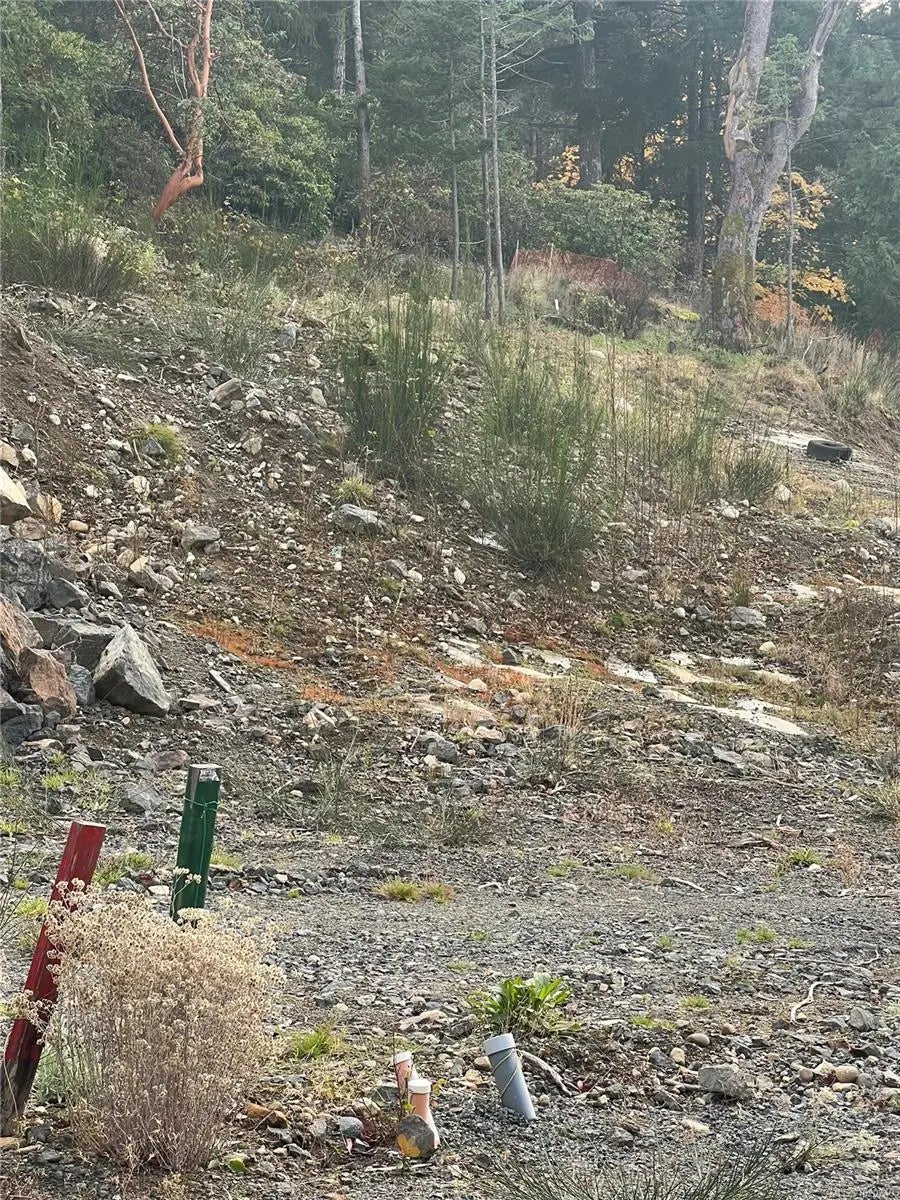 3338 West Oak Pl, Langford