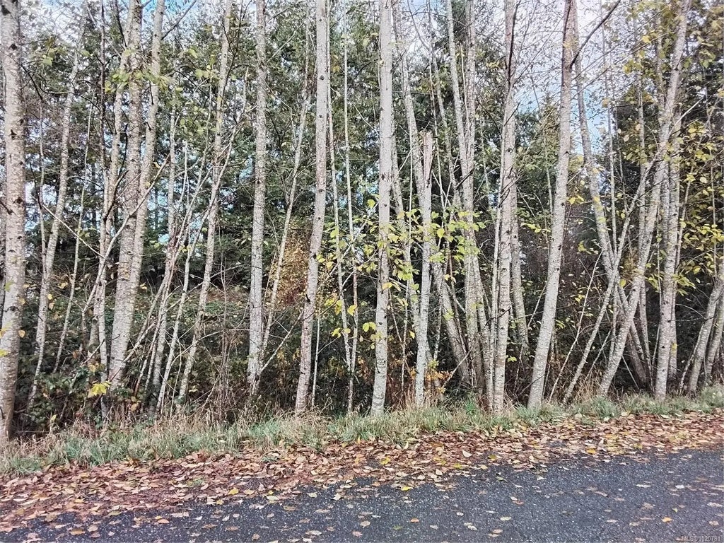 Lot E Tatton Rd, Courtenay