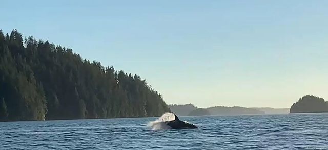 5 of 19 - Lot 2 Nootka Island, Nootka Island, BC