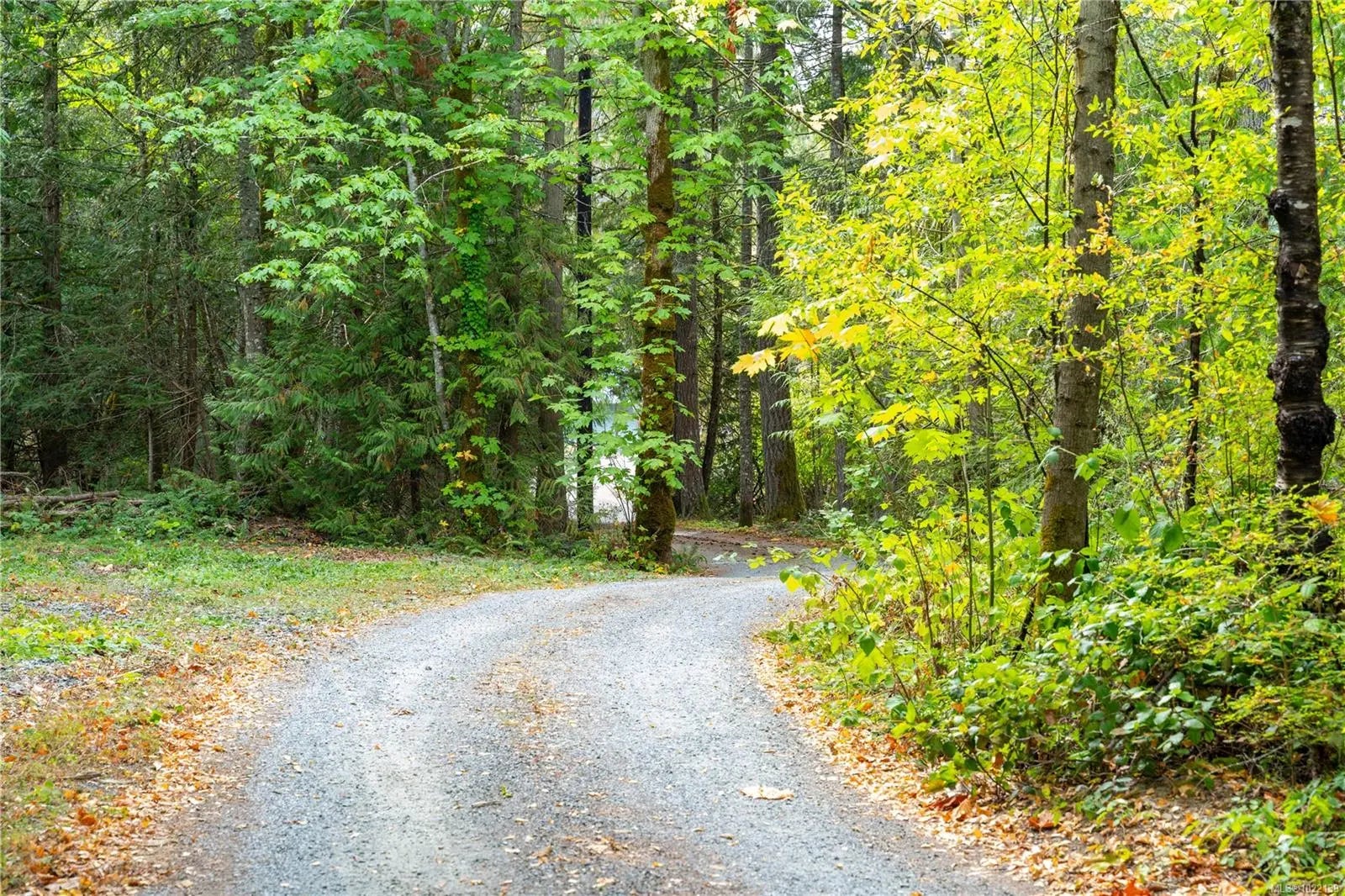 Homes for Sale in Chemainus, BC