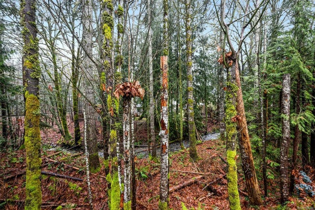 4 of 28 - 211 Madill Rd 50, Lake Cowichan, BC