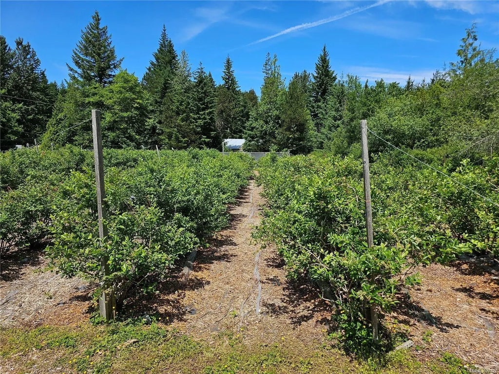 2156 Coleman Rd, Courtenay