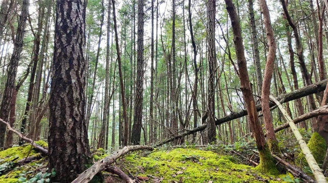 Lt 15 Coats Dr, Gabriola Island