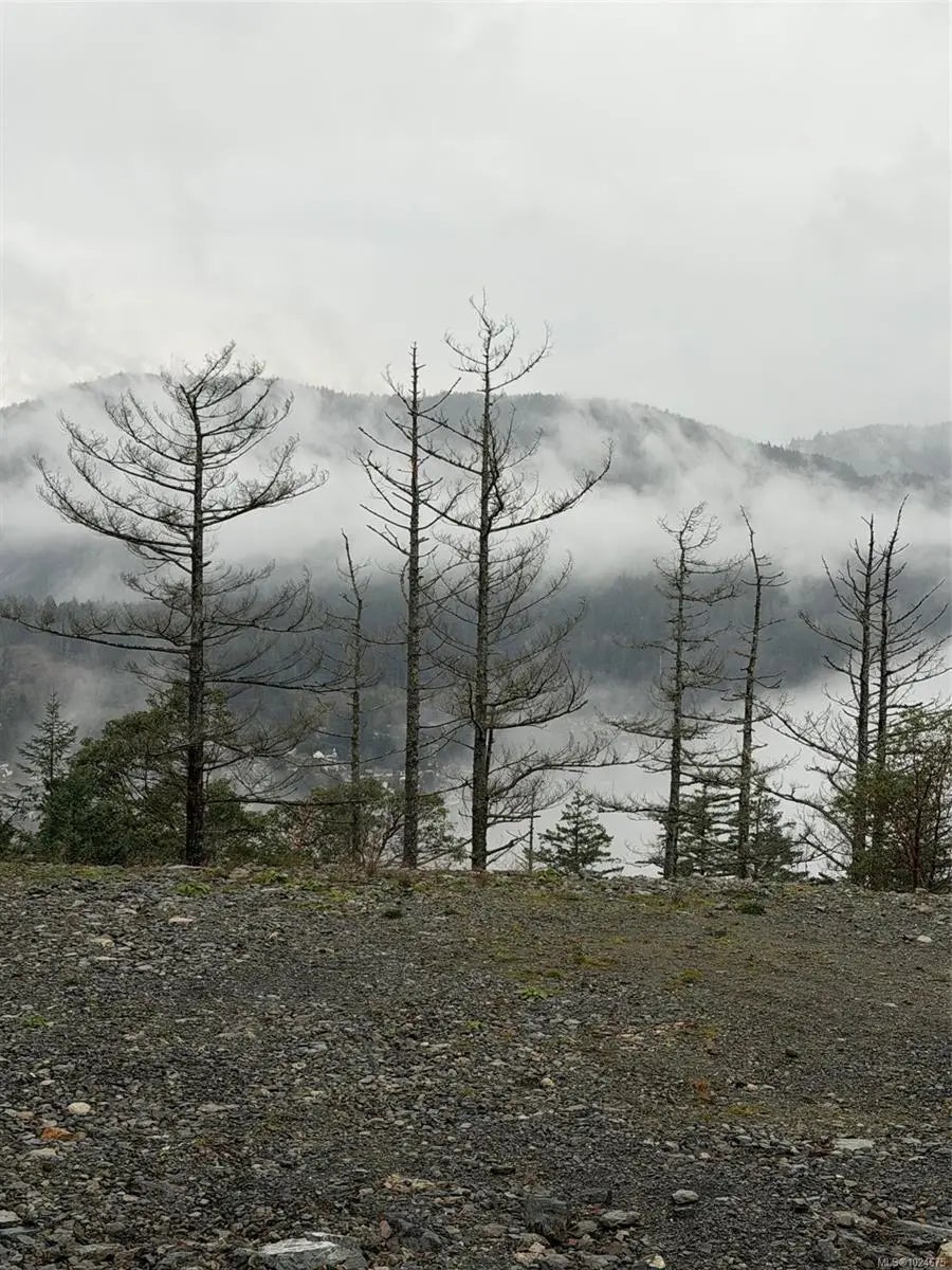 2017 Pinehurst Terr, Langford