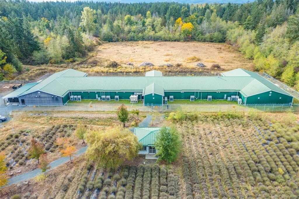 2116 Alberni Hwy, Errington