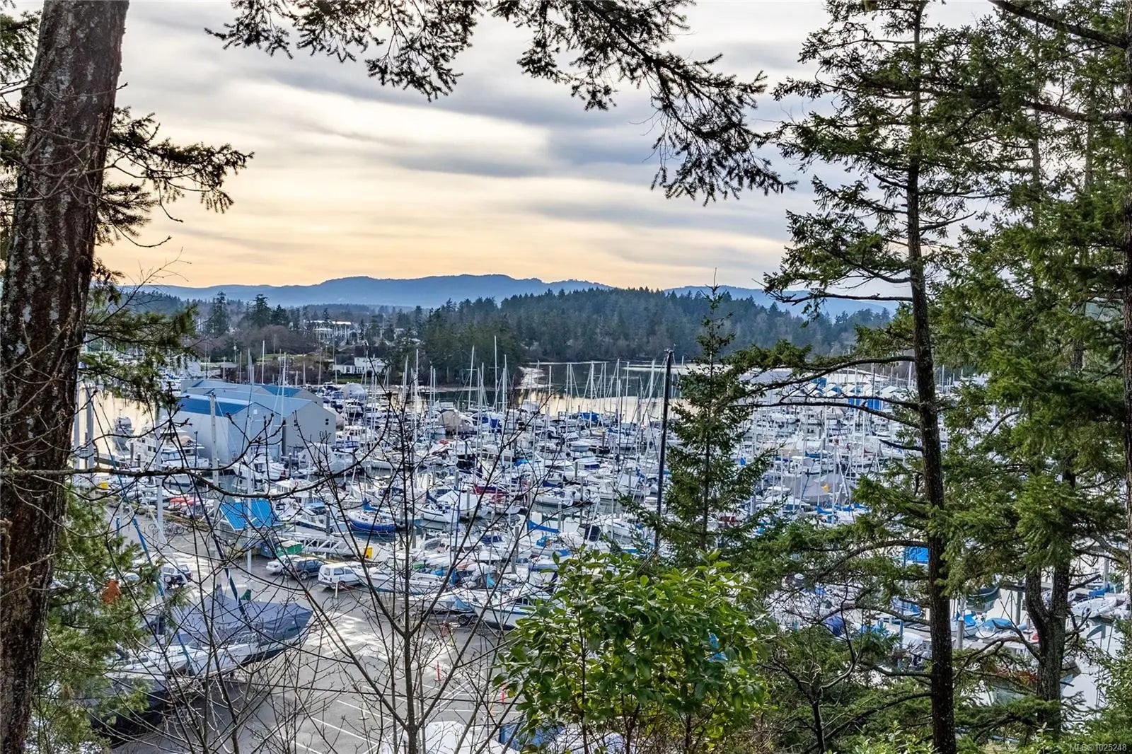 11064 Kittiwake Pl, in the city of North Saanich Real Estate in BC by ,