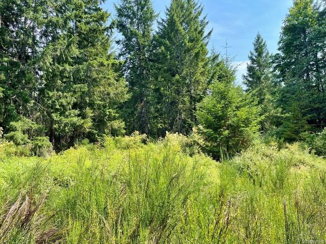 2 of 9 - Parcel B Appaloosa Way, Duncan, BC