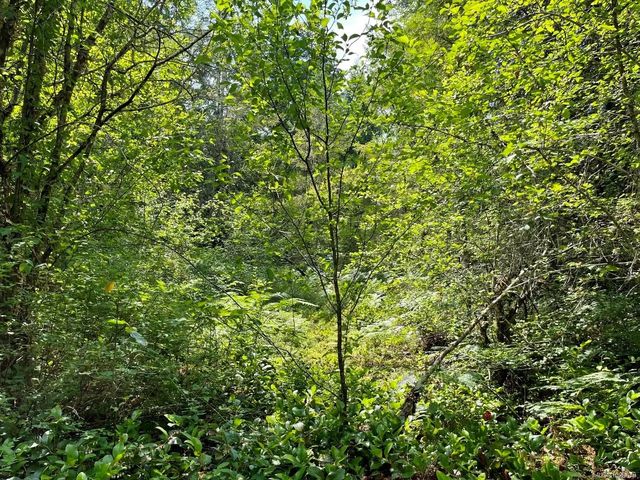 5 of 9 - Parcel B Appaloosa Way, Duncan, BC