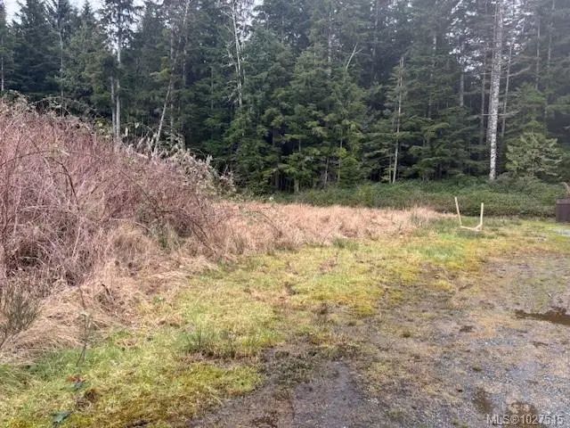3 of 6 - 6260 Hunt St, Port Hardy, BC