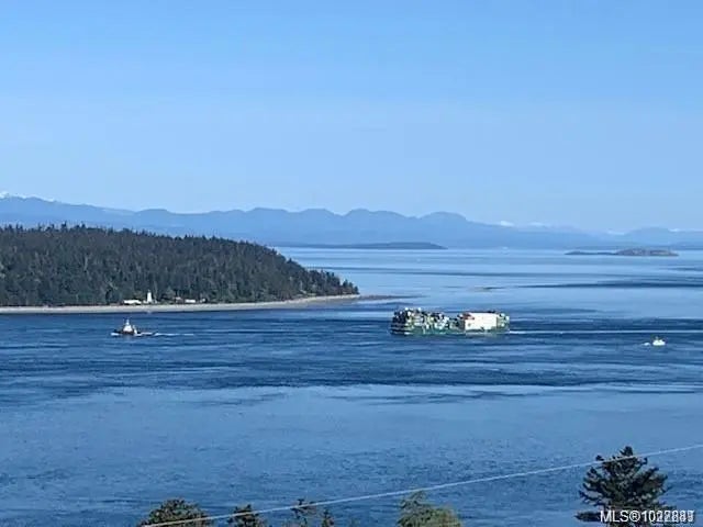 253 Alder St S, Campbell River