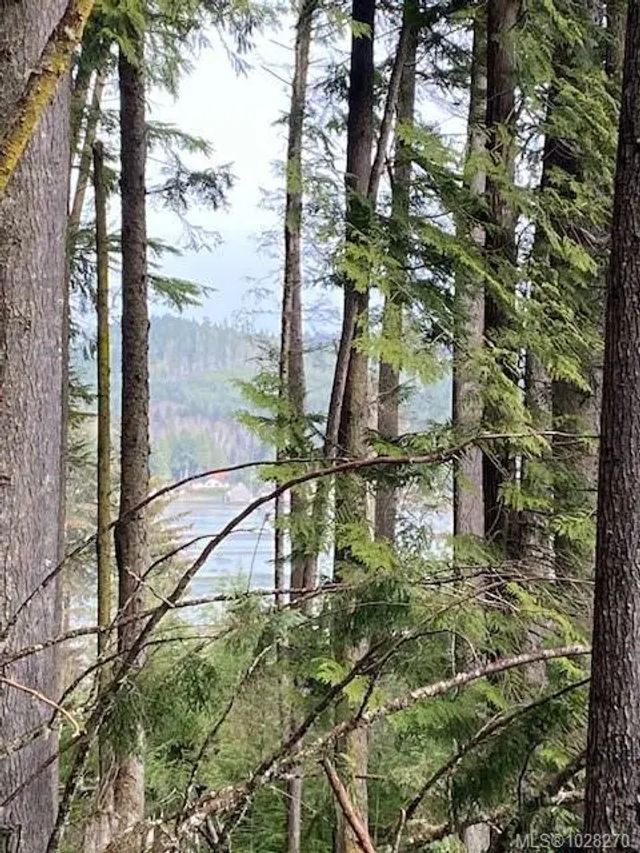 3 of 15 - 1 1st St, Sointula, BC