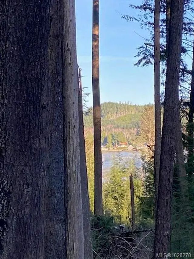 4 of 15 - 1 1st St, Sointula, BC