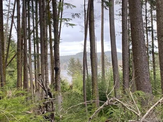 5 of 15 - 1 1st St, Sointula, BC