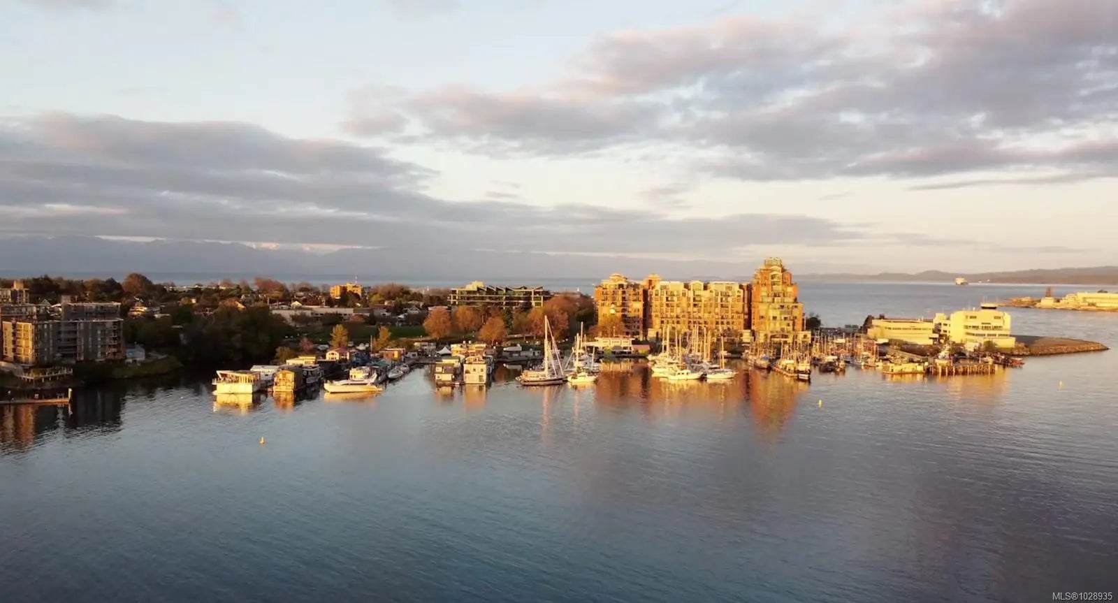 Homes for Sale in Victoria, BC