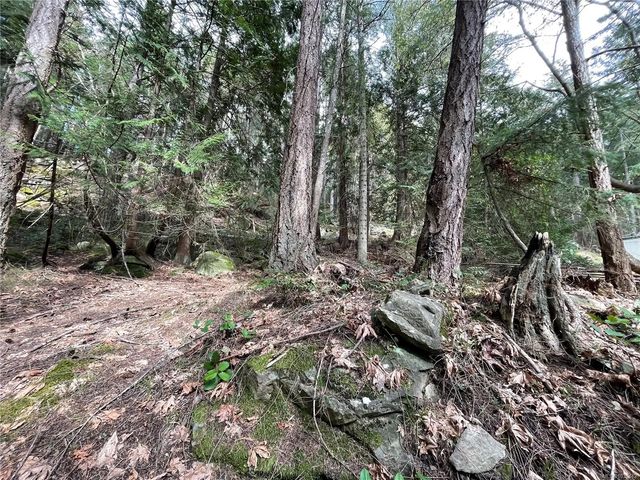 3 of 20 - Lot 130 Ling Cod Lane, Mudge Island, BC