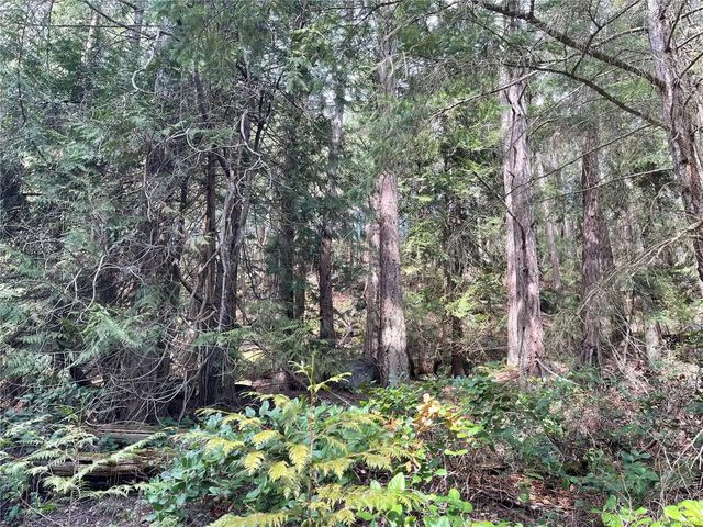 5 of 20 - Lot 130 Ling Cod Lane, Mudge Island, BC