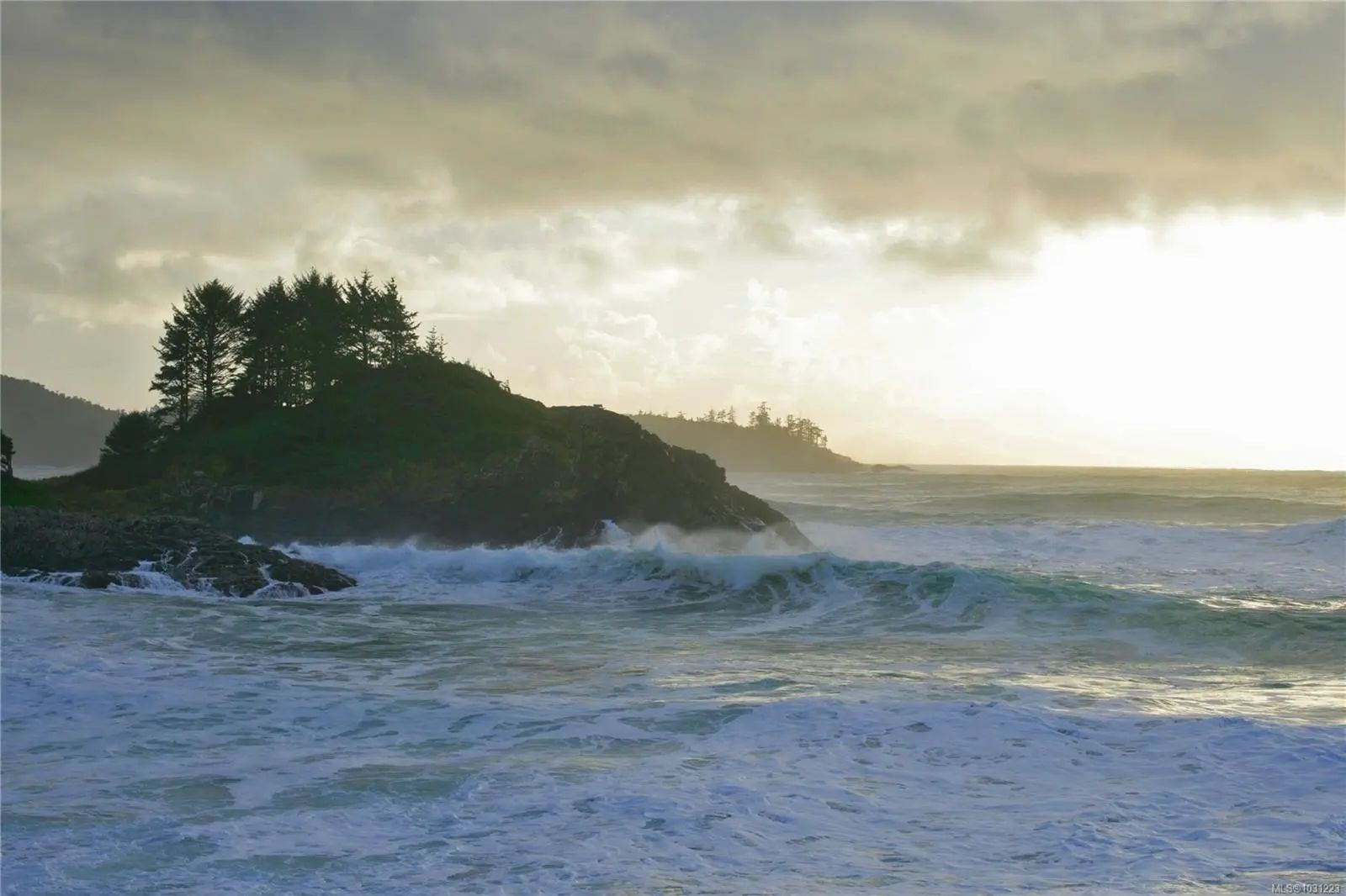Tofino Real Estate - MLS # 1031223, Residential real estate for Sale in ROSIE BAY, MLS Listings # 1031223