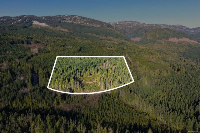 5 of 23 - Lot B Forbidden Plateau Rd, Courtenay, BC