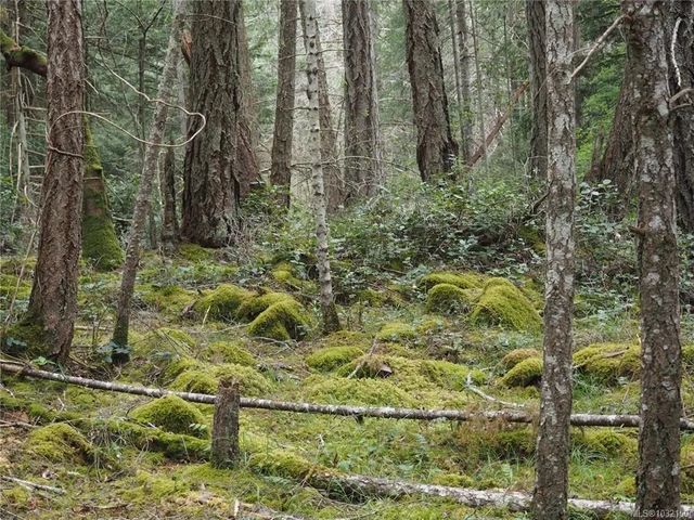 2 of 7 - Lot 88 Sockeye Dr, Mudge Island, BC