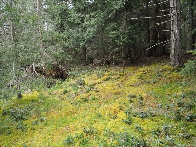 4 of 7 - Lot 88 Sockeye Dr, Mudge Island, BC
