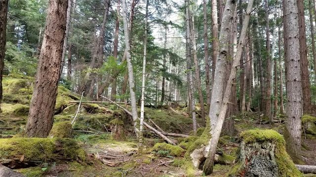 5 of 10 - A Millicheap Rd, Lasqueti Island, BC
