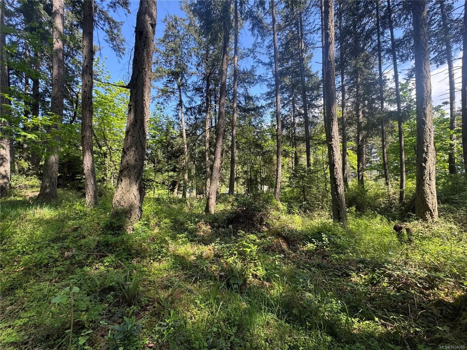Homes for Sale in Protection Island, BC