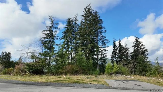5 of 18 - 16922 Beachview Dr, Port Renfrew, BC