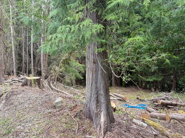 5 of 6 - 2602 Gunwhale Rd, Pender Island, BC