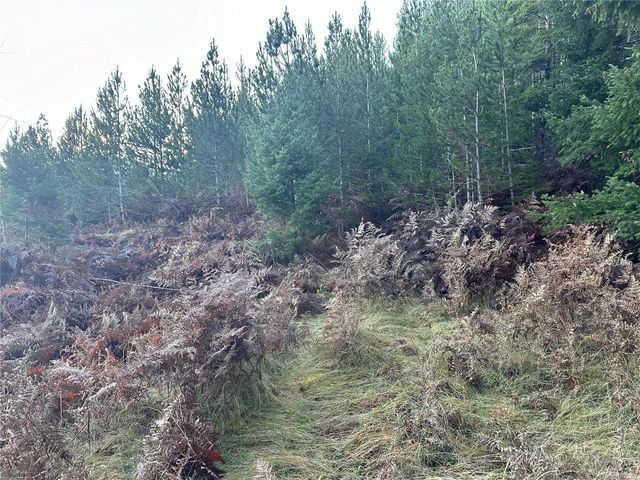 2 of 7 - 606 Scout Lake Rd, Gold River, BC