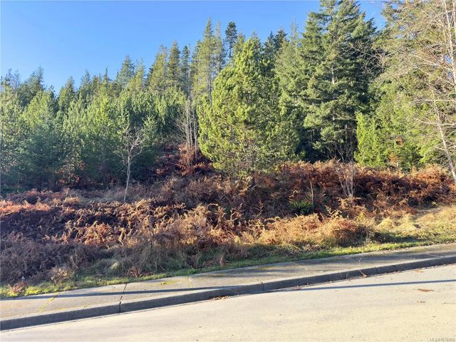 3 of 7 - 606 Scout Lake Rd, Gold River, BC