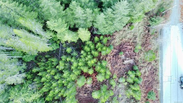 5 of 7 - 606 Scout Lake Rd, Gold River, BC