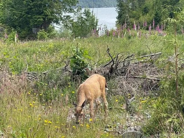 3 of 45 - Lot C Telegraph Cove, Telegraph Cove, BC