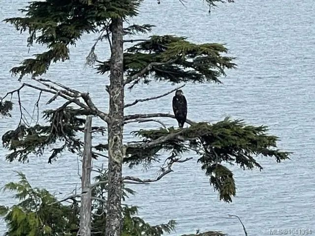 4 of 45 - Lot C Telegraph Cove, Telegraph Cove, BC