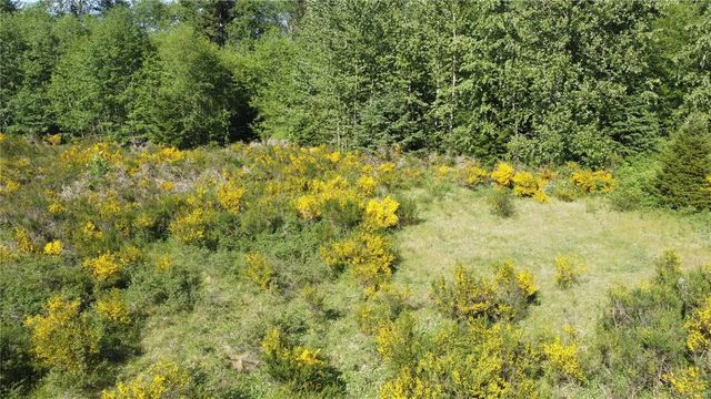 4 of 17 - 691 Kelsey Way, Sayward, BC