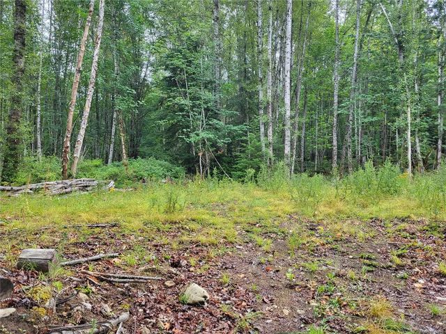 2 of 19 - 7531 Cowichan Lake Rd Lot B, Lake Cowichan, BC